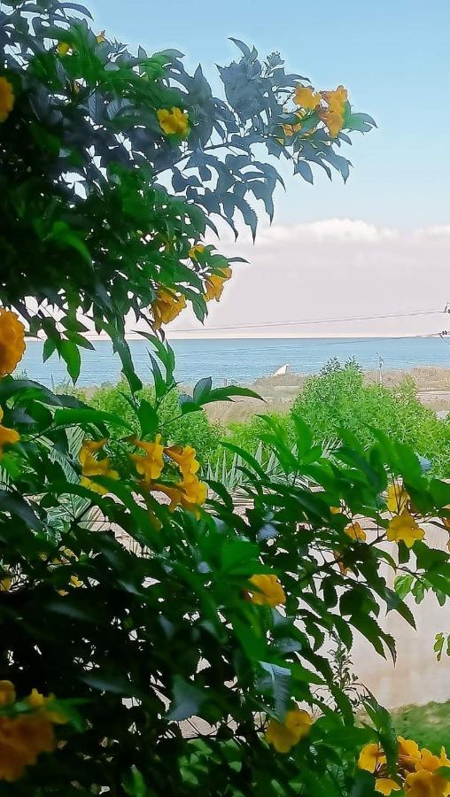 Kayan House Villa Tunis Buitenkant foto